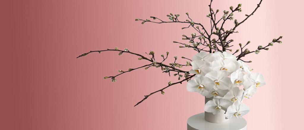 rose delivery in Gold Coast